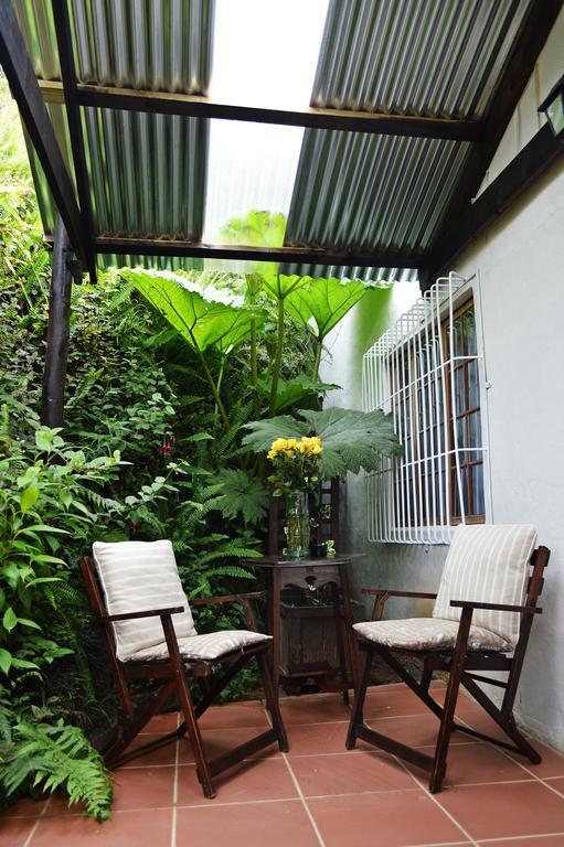 Country Lane Guesthouse Howick Zewnętrze zdjęcie