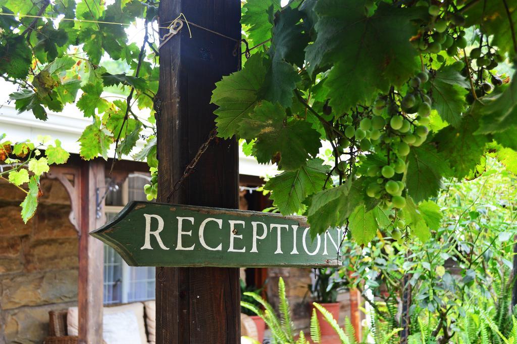 Country Lane Guesthouse Howick Zewnętrze zdjęcie
