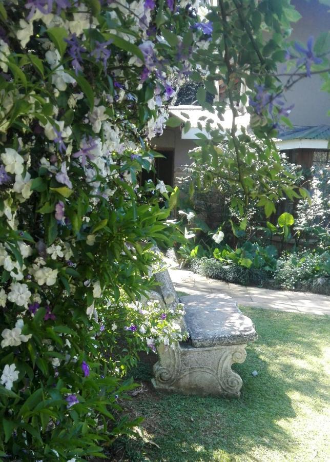 Country Lane Guesthouse Howick Zewnętrze zdjęcie