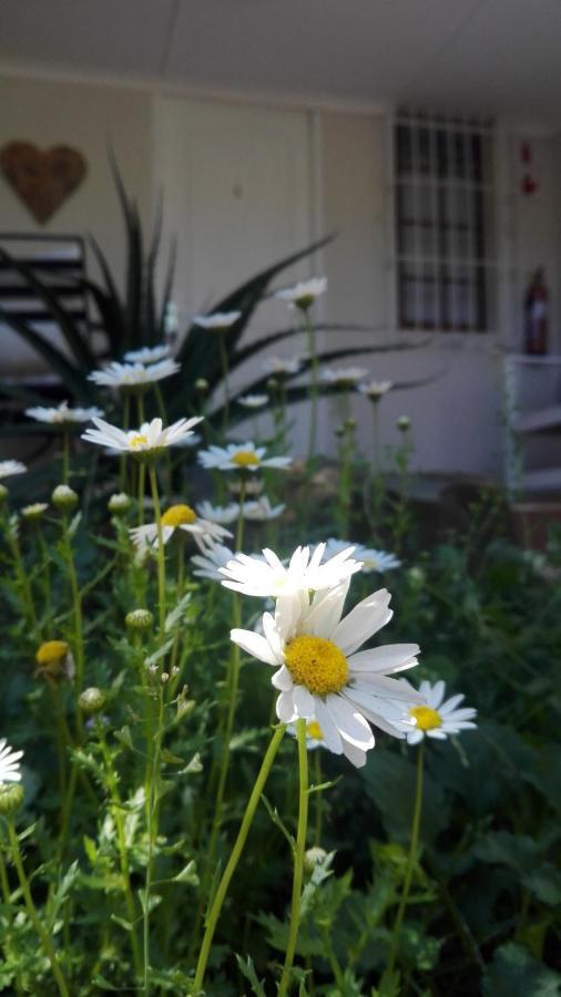 Country Lane Guesthouse Howick Zewnętrze zdjęcie